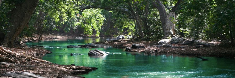 Tempat Pelatihan K3 Umum Online di Hulu Sungai Tengah Kalimantan Selatan