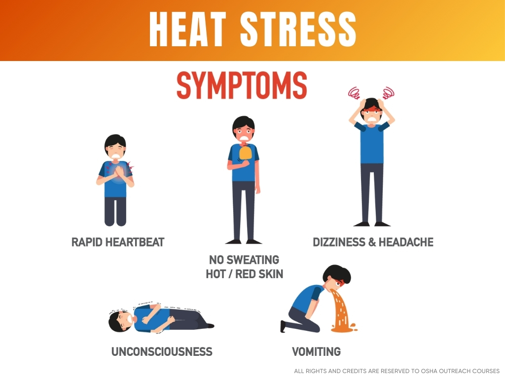 Gejala Heat Stress 1